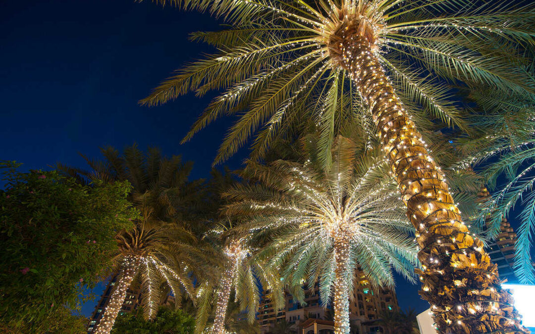Is Your Aging AC Ready for South Florida’s Cold Snap? A Palm Beach Homeowner’s Survival Guide