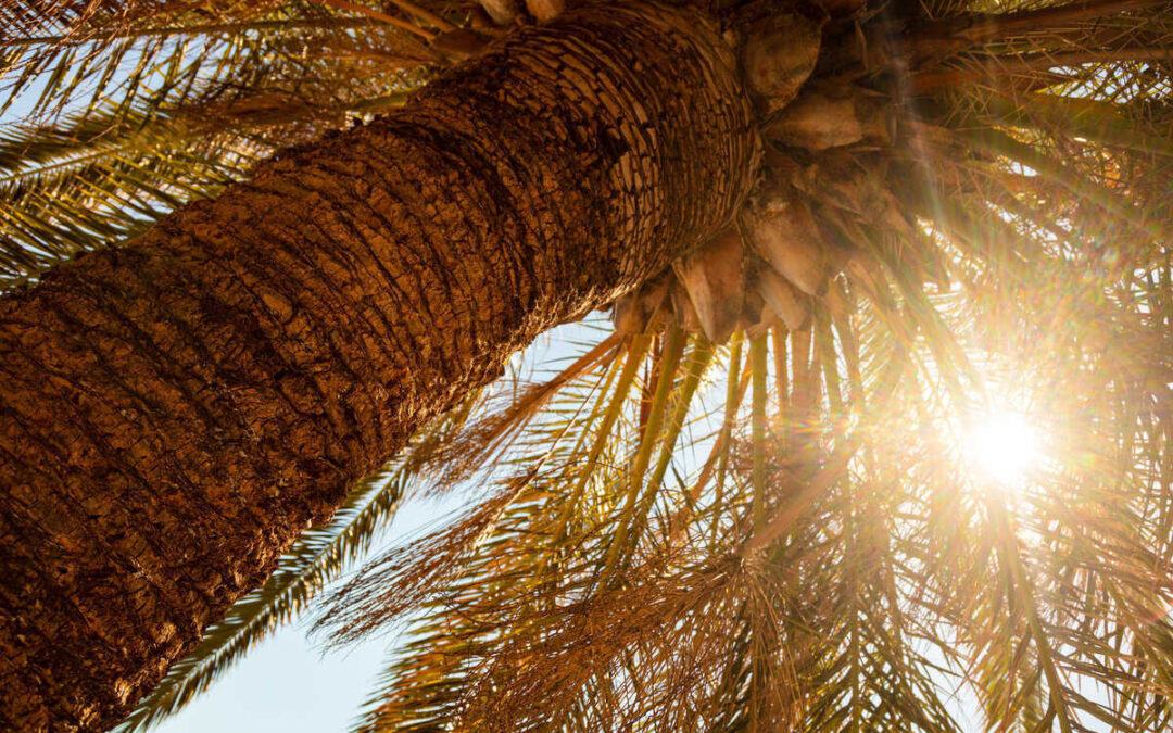Old AC, New Problems? Why July Is the Breaking Point