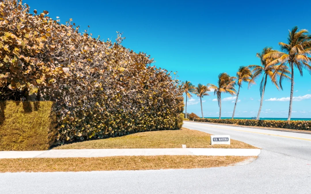 The Impact of Coastal Conditions on HVAC System Performance